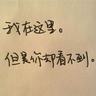 蔡正元入狱服刑